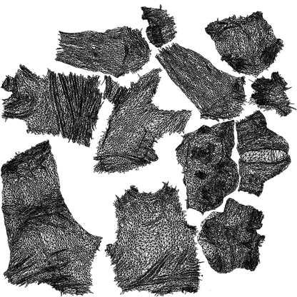realistic 3D people man casual cycling, render-ready for V-Ray and Corona, FBX OBJ, wireframe top-down view