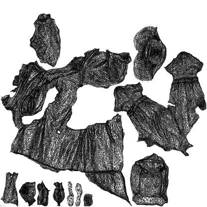 3D human model man casual walking, photogrammetry scanned person for archviz, wireframe top-down view