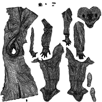 3D people model man business cycling, scanned human for 3ds Max rendering, wireframe top-down view