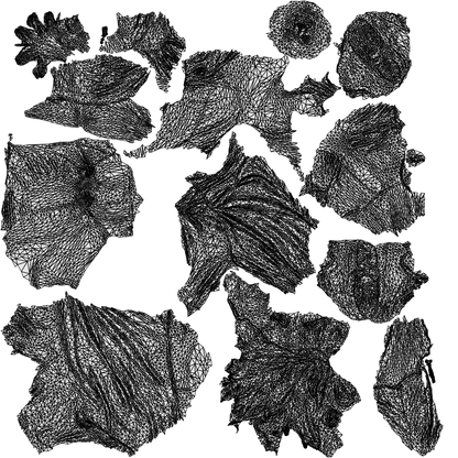 scanned 3D woman casual sitting, photogrammetry people for Enscape and V-Ray, wireframe top-down view