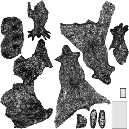 realistic 3D woman casual sitting, scanned archviz people for Blender and 3ds Max, wireframe top-down view