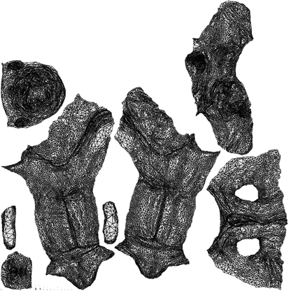 3D people model boy kids, scanned human for 3ds Max rendering, wireframe top-down view