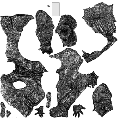 3D people model man business, scanned human for 3ds Max rendering, wireframe top-down view