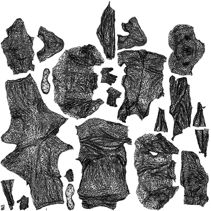 realistic 3D man casual walking, scanned archviz people for Blender and 3ds Max, wireframe top-down view