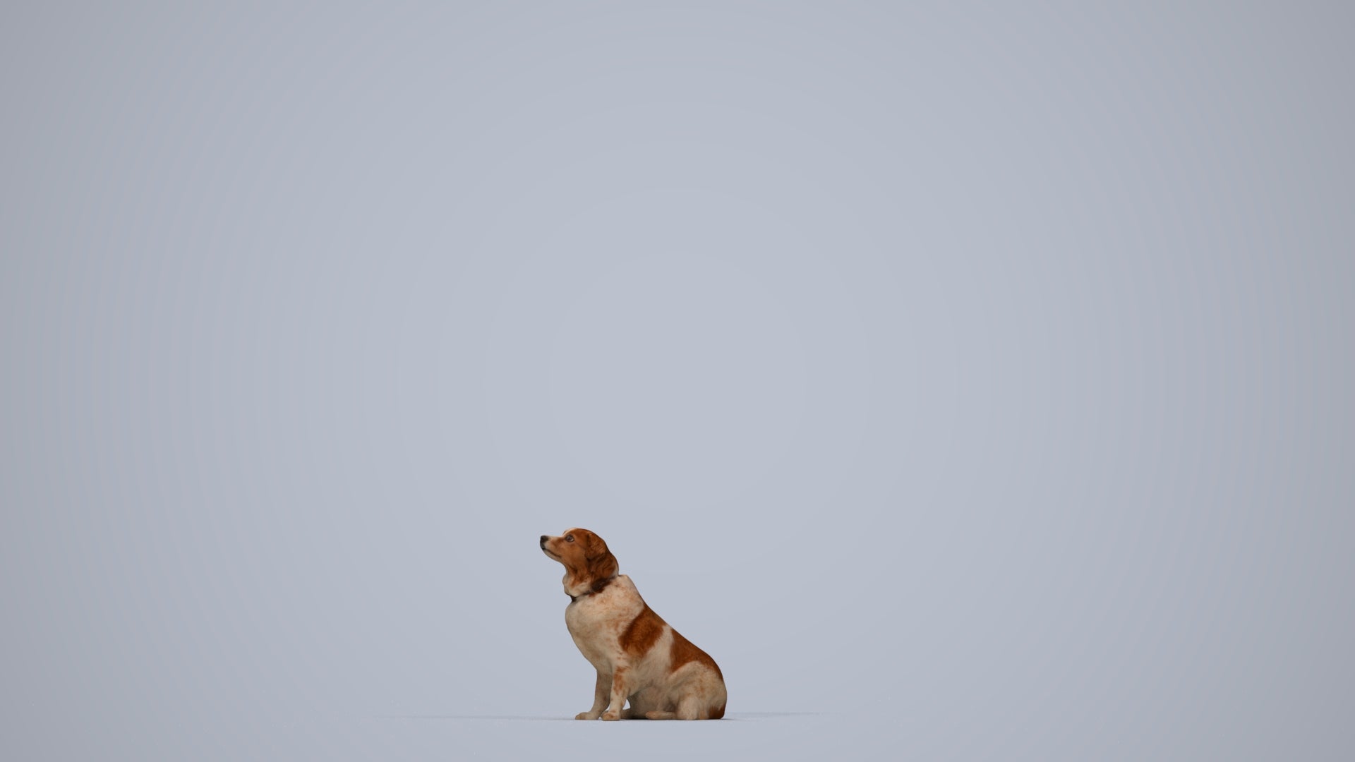 3D human model person misc, photogrammetry scanned person for archviz, top-down view render