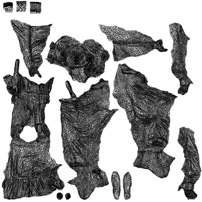 3D human model woman casual cycling, photogrammetry scanned person for archviz, wireframe top-down view