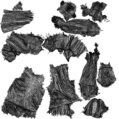 realistic 3D people man standing, render-ready for V-Ray and Corona, FBX OBJ, wireframe top-down view