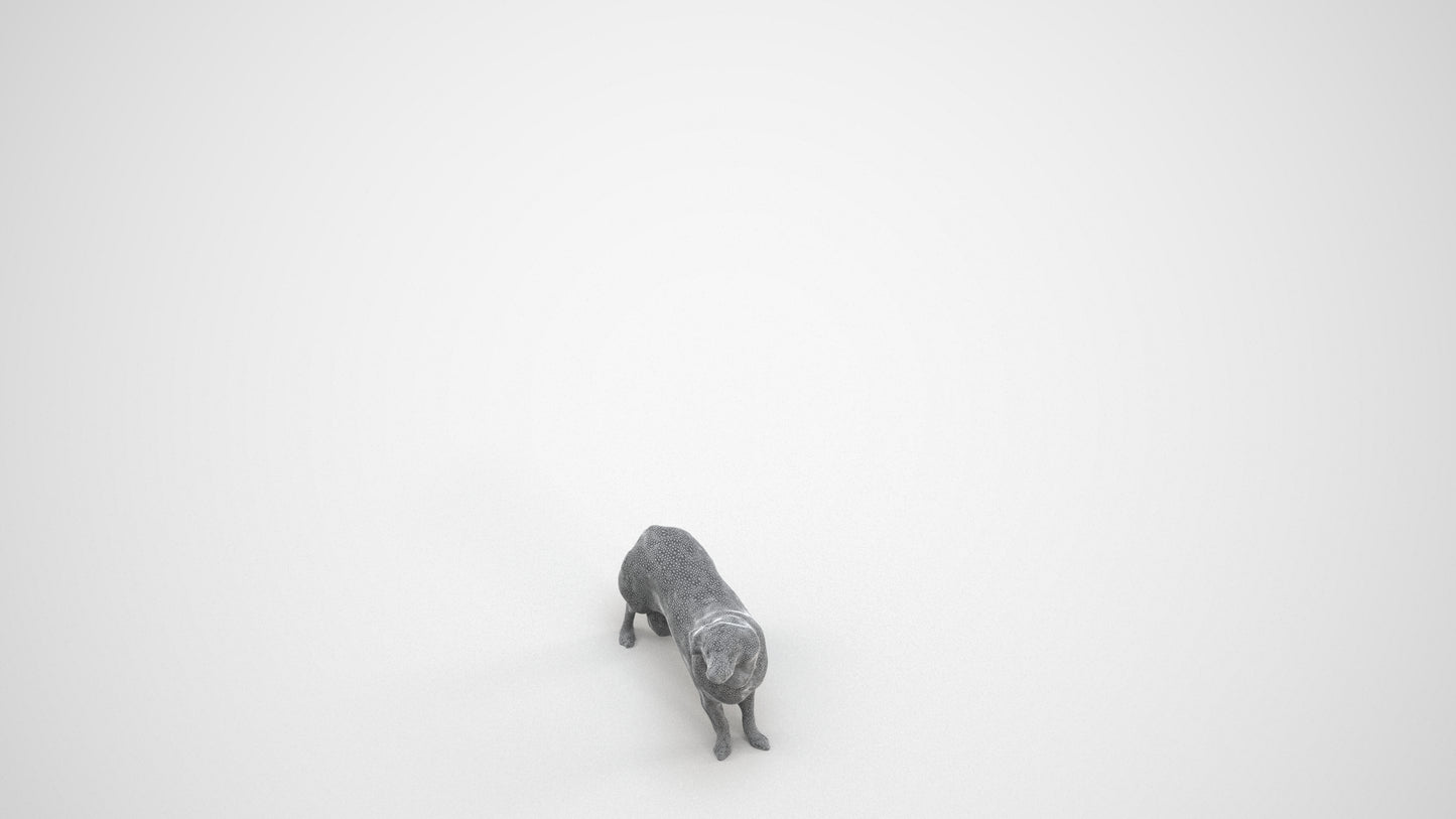 photogrammetry 3D person misc, realistic human model archviz FBX, wireframe three-quarter view