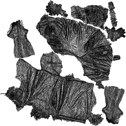 3D scanned man sport, photorealistic archviz people for Enscape and SketchUp, wireframe top-down view