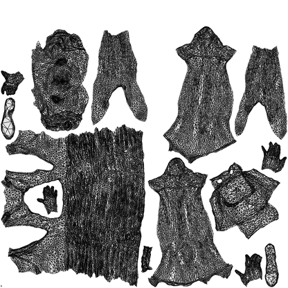 3D people model girl casual kids, scanned human for 3ds Max rendering, wireframe top-down view