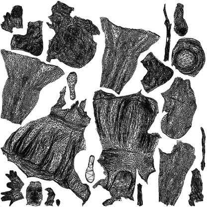 scanned 3D woman walking, photogrammetry people for Enscape and V-Ray, wireframe top-down view