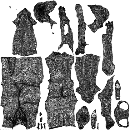3D people model woman hospitality, scanned human for 3ds Max rendering, wireframe top-down view