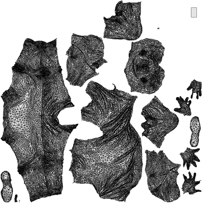 3D people model man casual sitting, scanned human for 3ds Max rendering, wireframe top-down view