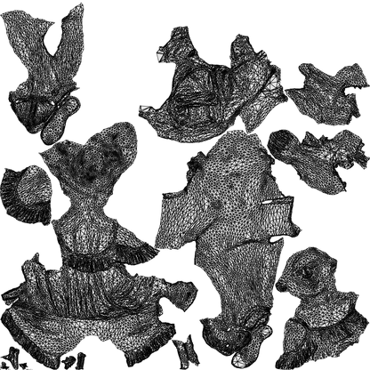 realistic 3D girl casual kids, scanned archviz people for Blender and 3ds Max, wireframe top-down view