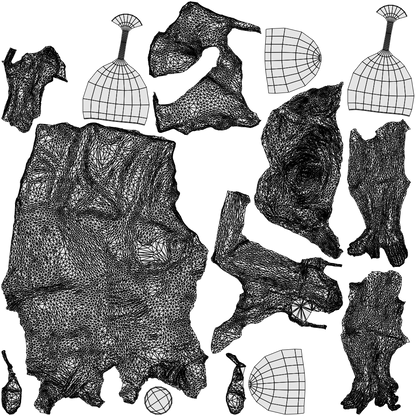 3D human model woman formal formalaffairs, photogrammetry scanned person for archviz, wireframe top-down view