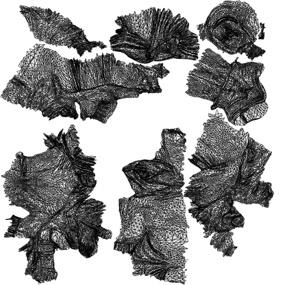 3D scanned woman sitting casual, photorealistic archviz people for Enscape and SketchUp, wireframe top-down view
