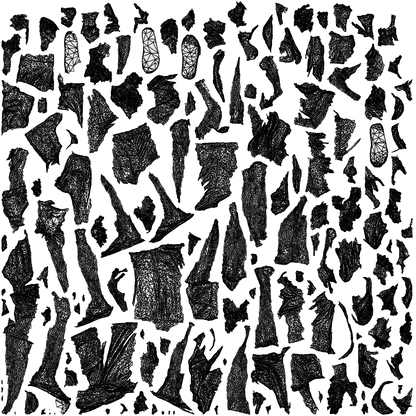 3D people model boy standing, scanned human for 3ds Max rendering, wireframe top-down view