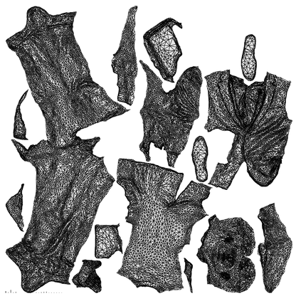 3D people model man business, scanned human for 3ds Max rendering, wireframe top-down view