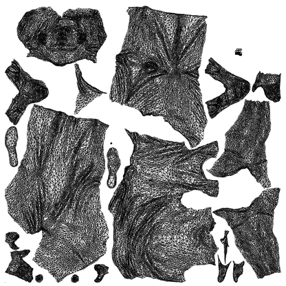 scanned 3D woman casual cycling, photogrammetry people for Enscape and V-Ray, wireframe top-down view