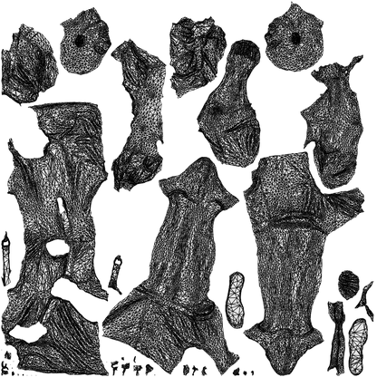 3D scanned man mix casual, photorealistic archviz people for Enscape and SketchUp, wireframe top-down view