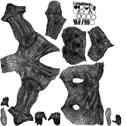 photogrammetry 3D man casual sitting, realistic human model archviz FBX, wireframe top-down view