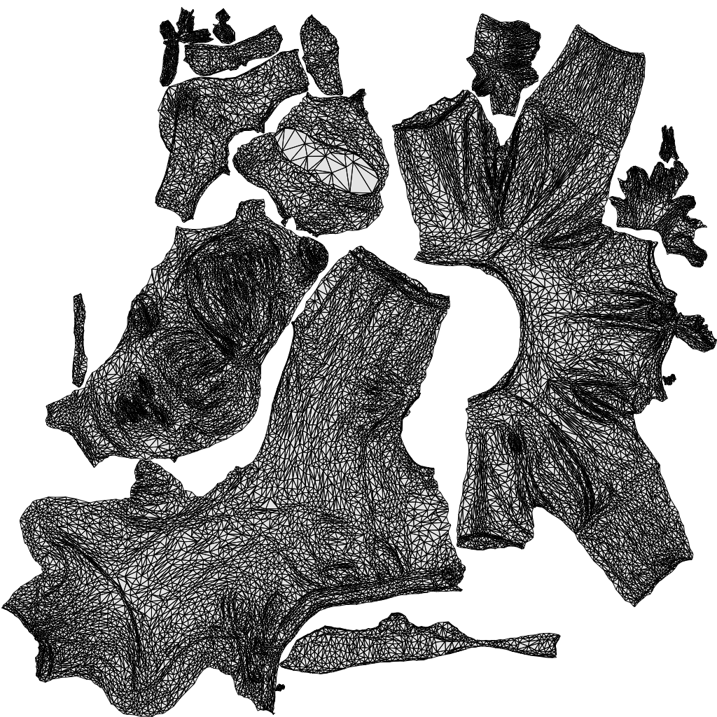 scanned 3D girl sport kids, photogrammetry people for Enscape and V-Ray, wireframe top-down view