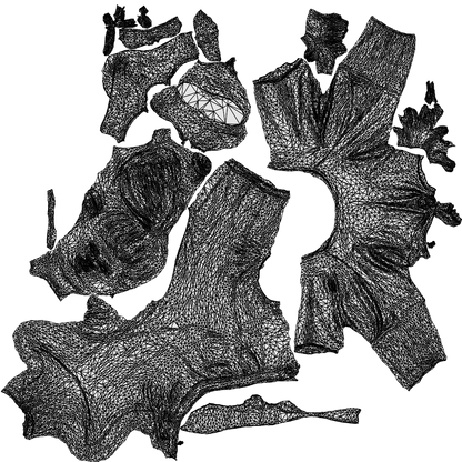 scanned 3D girl sport kids, photogrammetry people for Enscape and V-Ray, wireframe top-down view