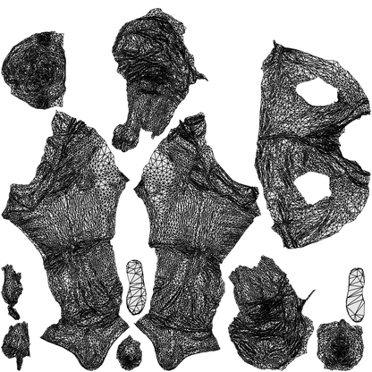 photogrammetry 3D man casual business, realistic human model archviz FBX, wireframe top-down view