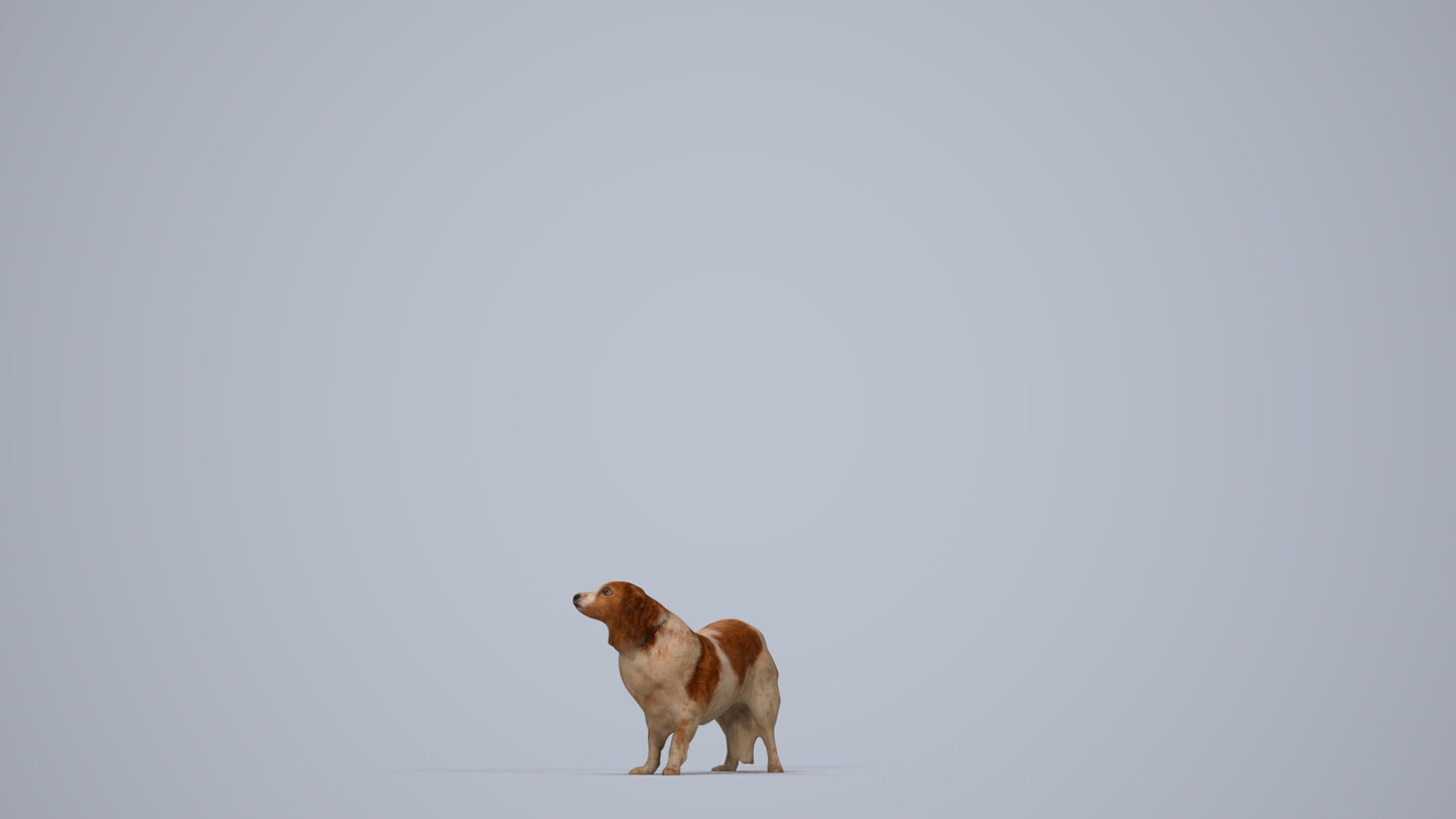 photogrammetry 3D person misc, realistic human model archviz FBX, top-down view render