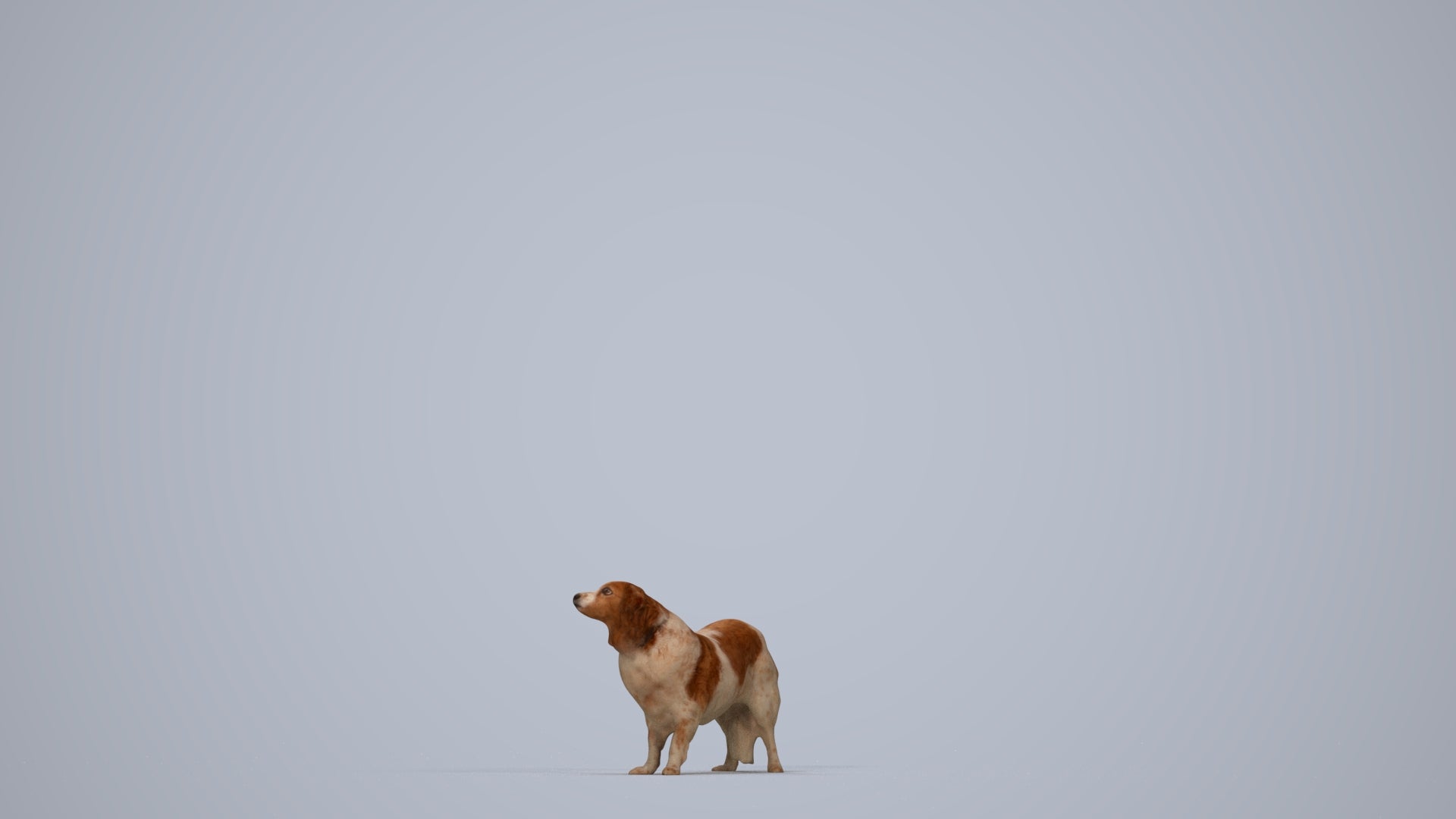 photogrammetry 3D person misc, realistic human model archviz FBX, top-down view render
