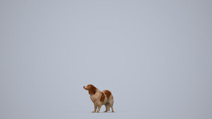photogrammetry 3D person misc, realistic human model archviz FBX, top-down view render