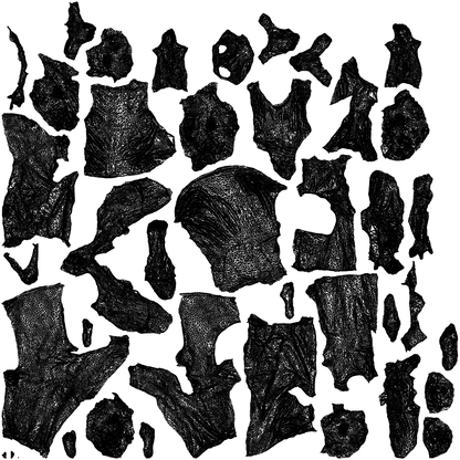 scanned 3D girl casual kids, photogrammetry people for Enscape and V-Ray, wireframe top-down view