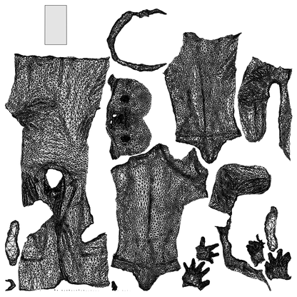 photogrammetry 3D man business, realistic human model archviz FBX, wireframe top-down view