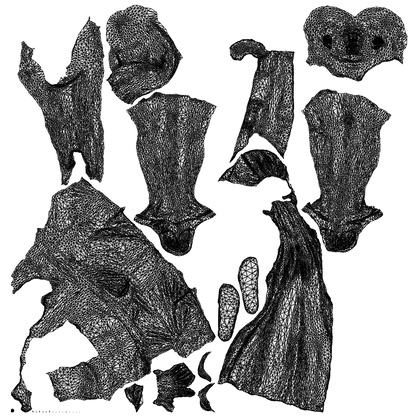 3D human model man pool, photogrammetry scanned person for archviz, wireframe top-down view