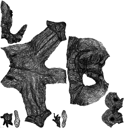 3D people model man business, scanned human for 3ds Max rendering, wireframe top-down view
