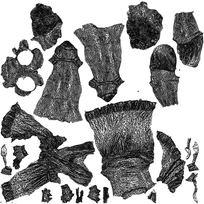 3D human model woman casual standing, photogrammetry scanned person for archviz, wireframe top-down view