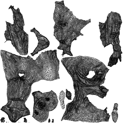 scanned 3D man business, photogrammetry people for Enscape and V-Ray, wireframe top-down view