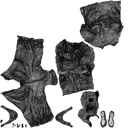 scanned 3D man medical, photogrammetry people for Enscape and V-Ray, wireframe top-down view