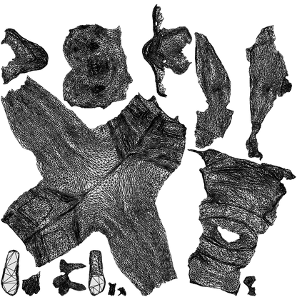 3D scanned girl walking casual, photorealistic archviz people for Enscape and SketchUp, wireframe top-down view