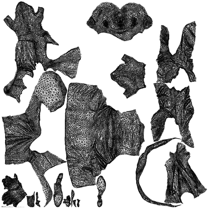3D people model woman business, scanned human for 3ds Max rendering, wireframe top-down view