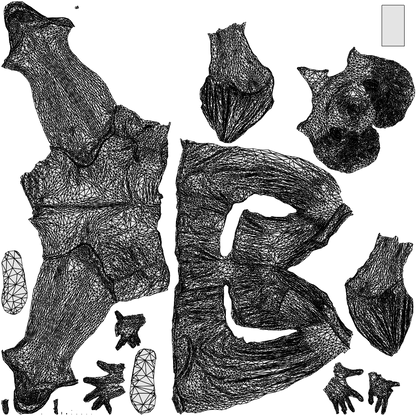 3D human model man casual standing, photogrammetry scanned person for archviz, wireframe top-down view