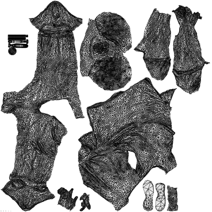 3D scanned man standing, photorealistic archviz people for Enscape and SketchUp, wireframe top-down view