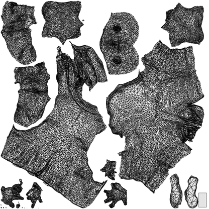 3D human model man business, photogrammetry scanned person for archviz, wireframe top-down view