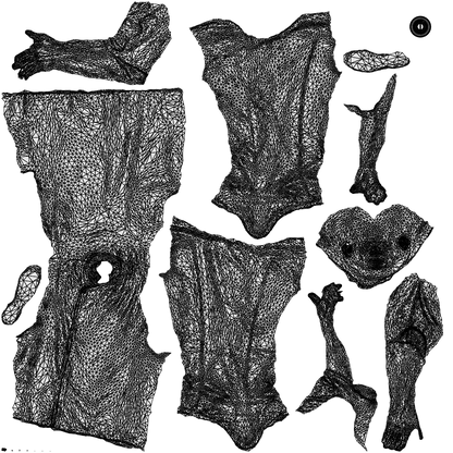 scanned 3D man hospitality, photogrammetry people for Enscape and V-Ray, wireframe top-down view