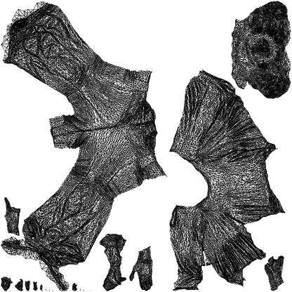 realistic 3D people woman casual walking, render-ready for V-Ray and Corona, FBX OBJ, wireframe top-down view