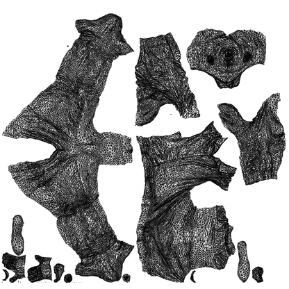 3D scanned man cycling business, photorealistic archviz people for Enscape and SketchUp, wireframe top-down view