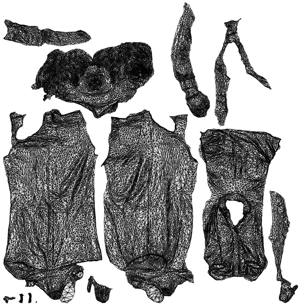 3D people model woman casual standing, scanned human for 3ds Max rendering, wireframe top-down view