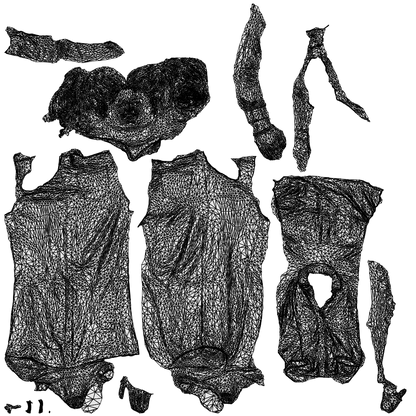 3D people model woman casual standing, scanned human for 3ds Max rendering, wireframe top-down view