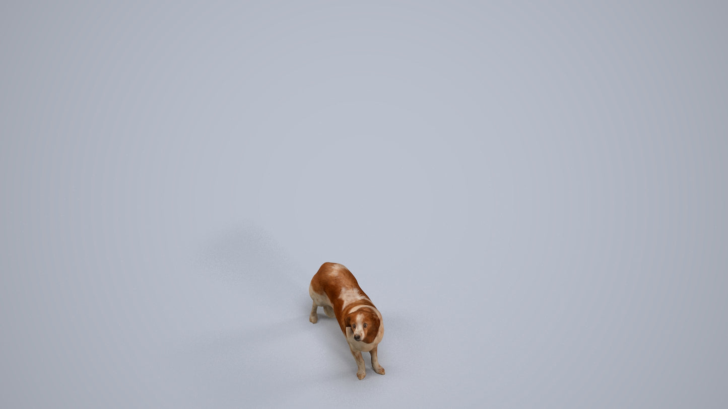 photogrammetry 3D person misc, realistic human model archviz FBX, back view render