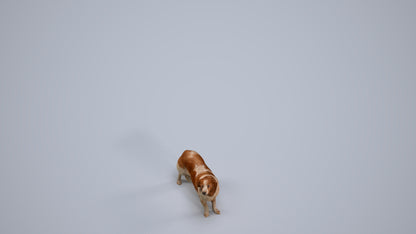 photogrammetry 3D person misc, realistic human model archviz FBX, back view render
